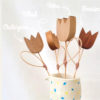 Tulipe