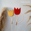 Tulipe
