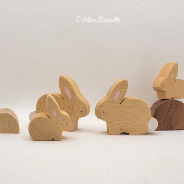lapins2 Famille lapin